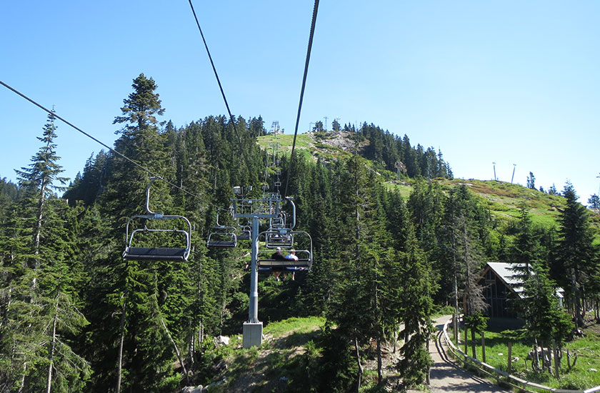 Riding the chairlift over lush trees