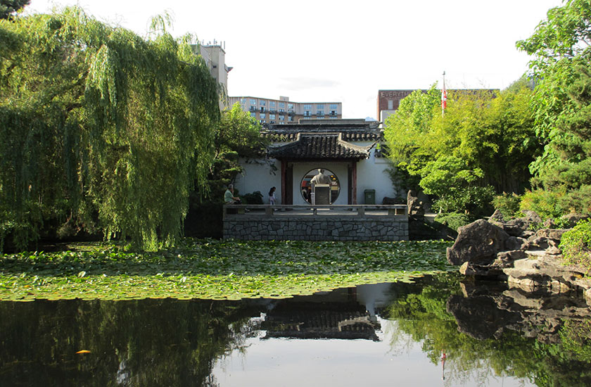 Dr. Sun Yat-Sen Classical Chinese Garden pond and lotus in Vancouver Canada