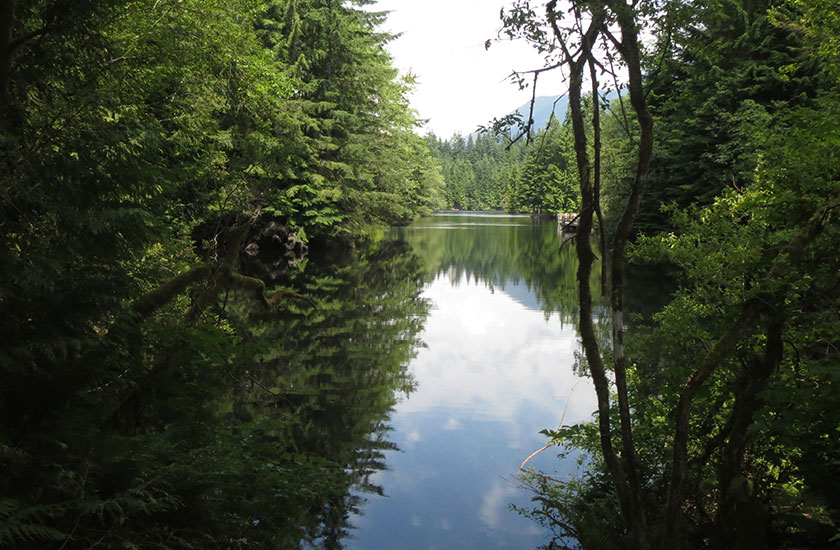 Lake at Lynn Canyon Park in Vancouver Canada