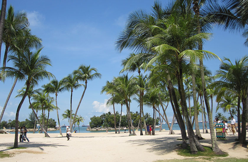  Sunny palm trees and sand at Siloso Beach 