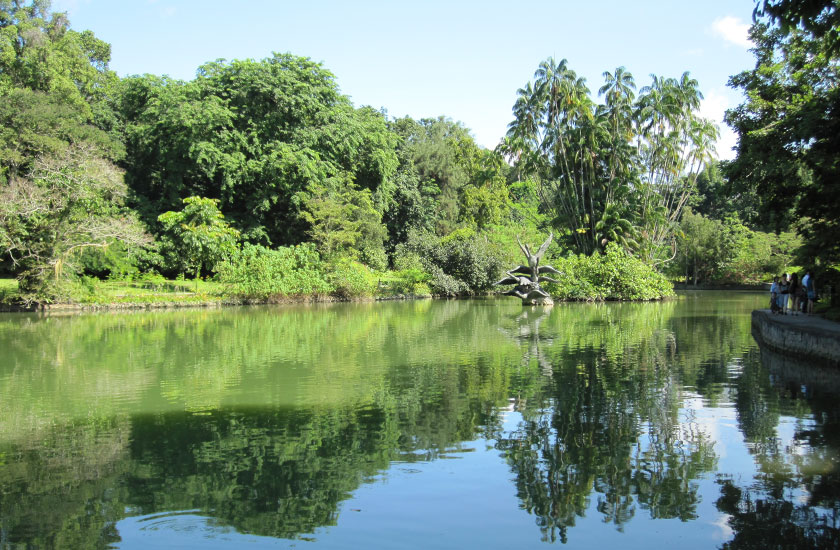 Bird water fountain at Singapore Botanic Garden