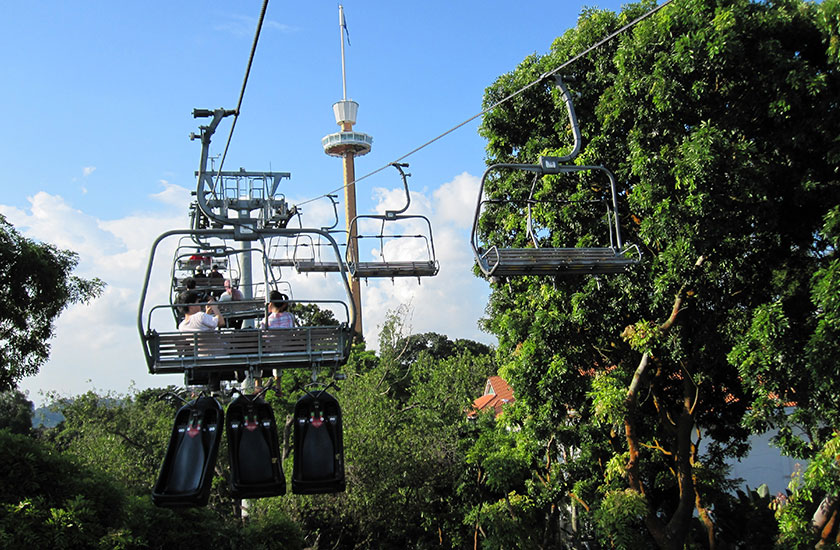 Cable car ride Skyline Skyride over lush trees