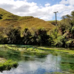 Blue springs in New Zealand