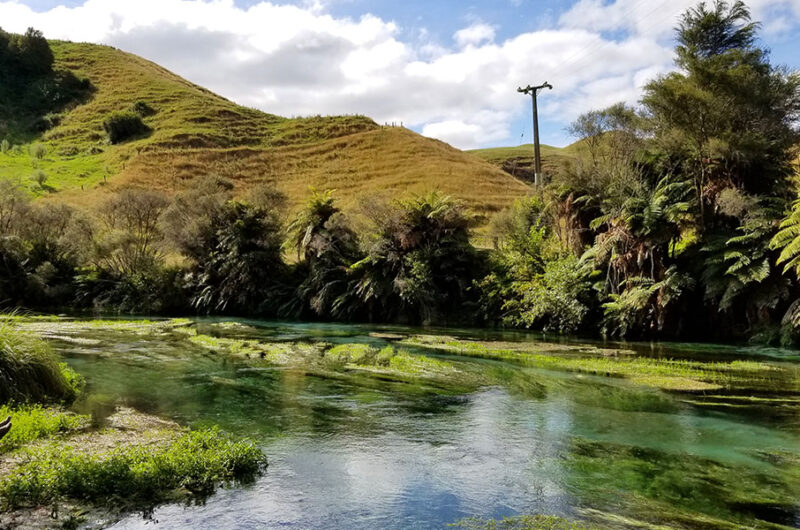 Blue springs in New Zealand