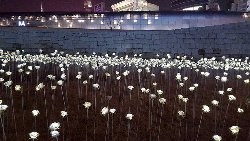 Pretty LED roses and futuristic architecture at Dongdaemun Design Plaza (DDP) in Seoul