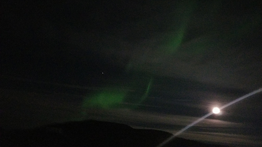 Spectacular green northern lights (aurora borealis) seen near Blue Lagoon in Iceland