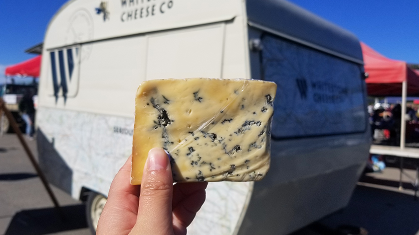 Tasty New Zealand artisan cheese- White Stone Cheese Co in Oamaru South Island