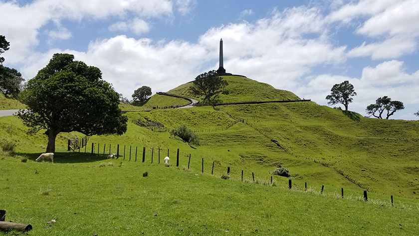 Sheep, trees, and obelisk at One Tree Hill in Auckland New Zealand