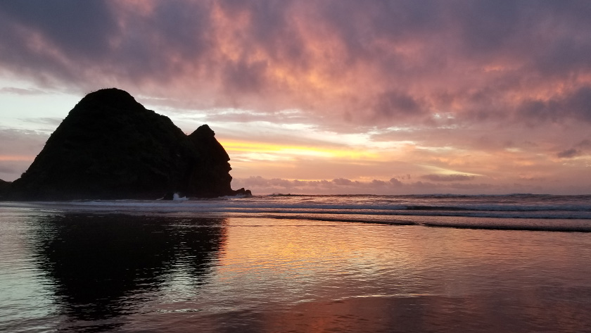 Beautiful cotton candy sunset at Piha Beach in Auckland New Zealand