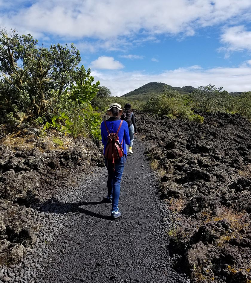 Hike through lava fields up to summit in Rangitoto Island