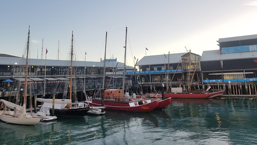 Lively Viaduct Harbour filled with restaurants in Auckland