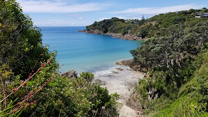 Ferry from Auckland to Waiheke Island for stunning views, pristine beaches, wineries, and scenic hikes in New Zealand